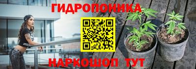 прущие крисы Малгобек