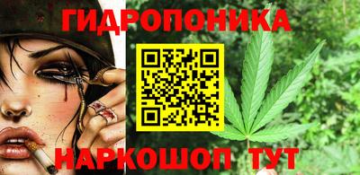 прущие крисы Малгобек