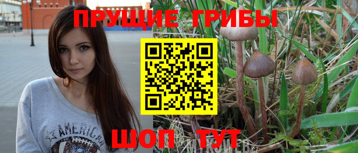 Ульяновск  Псилоцибиновые грибы мухоморы  Вход с VPN 